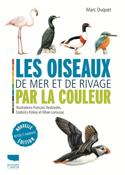 Les oiseaux de mer et de rivage par la couleur - flash vidéo