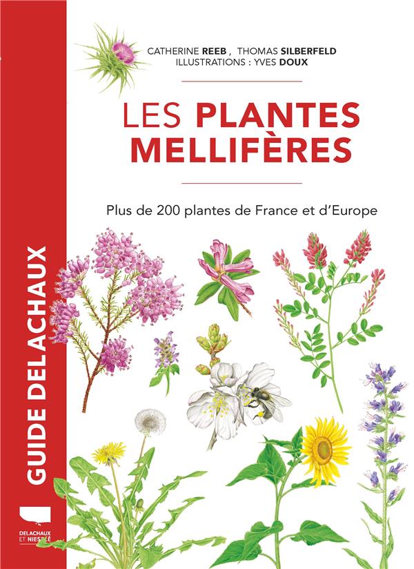 Plantes mellifères : plus de 200 plantes de France et d'Europe