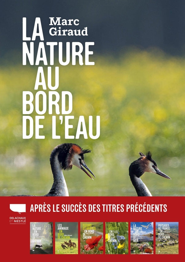 La nature au bord de l'eau - flash vidéo