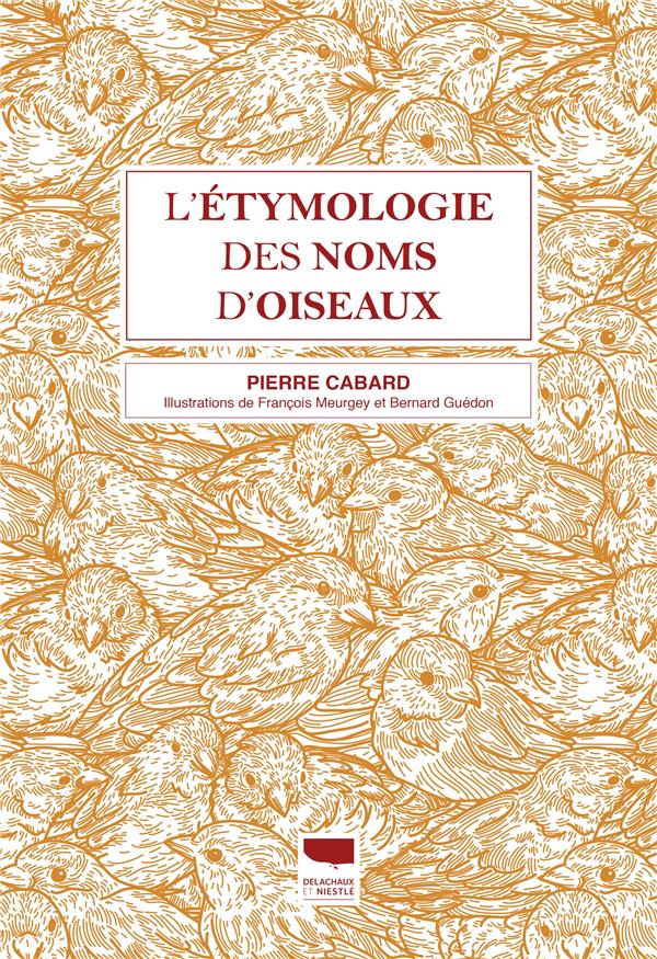 L'étymologie des noms d'oiseaux - flash vidéo