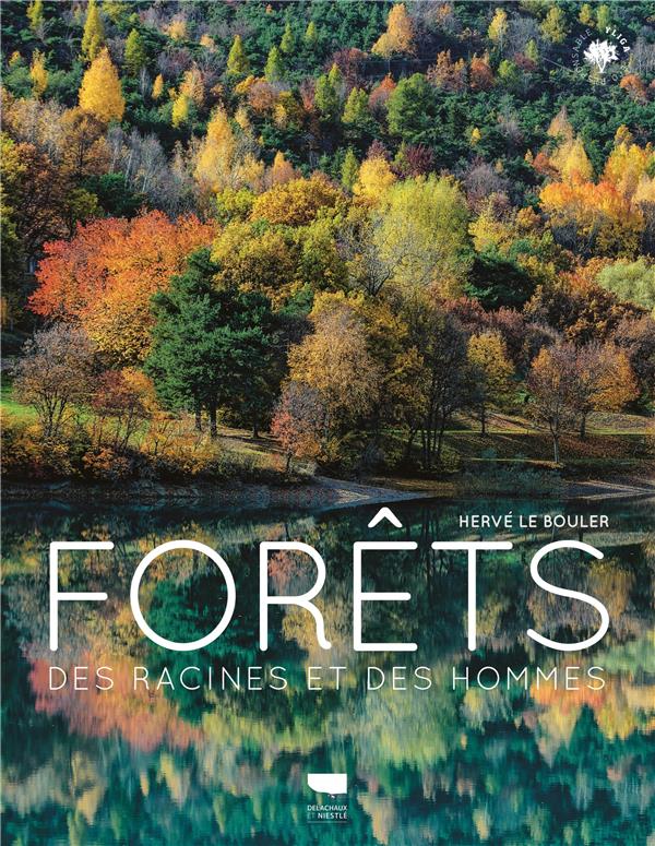 Forêts : des racines et des hommes - flash vidéo