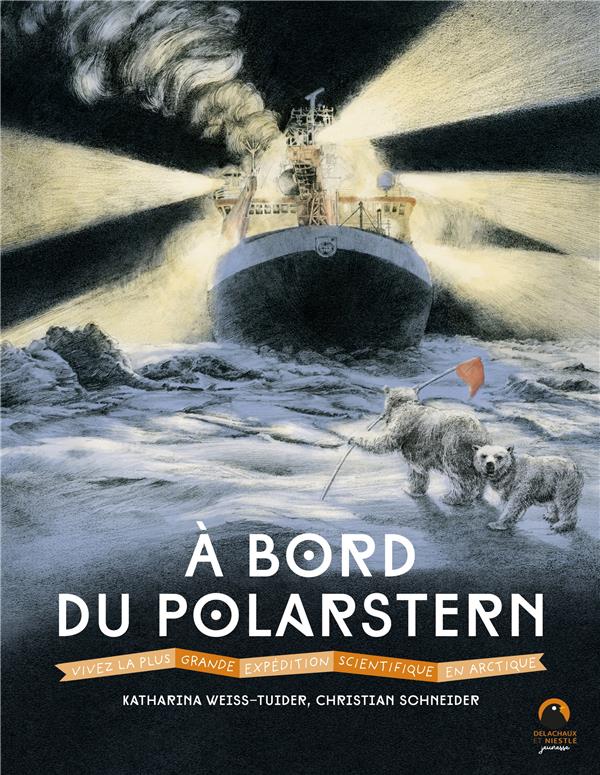 à bord du Polarstern : vivez la plus grande expédition scientifique en Arctique