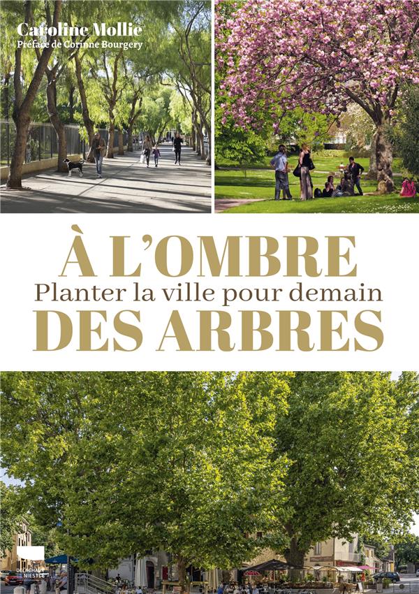 À l'ombre des arbres : Planter la ville pour demain - flash vidéo