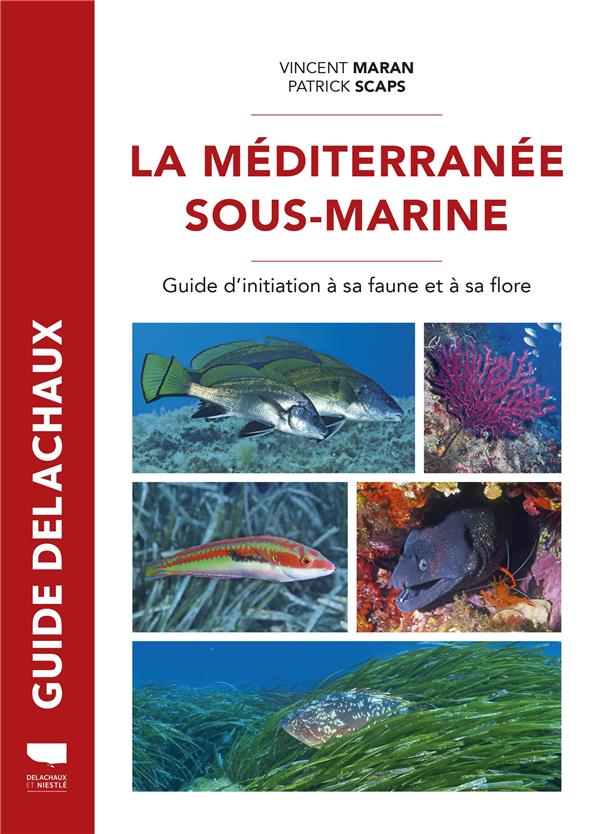 Guide Delachaux : La Méditerranée sous-marine : Guide de la faune et de la flore