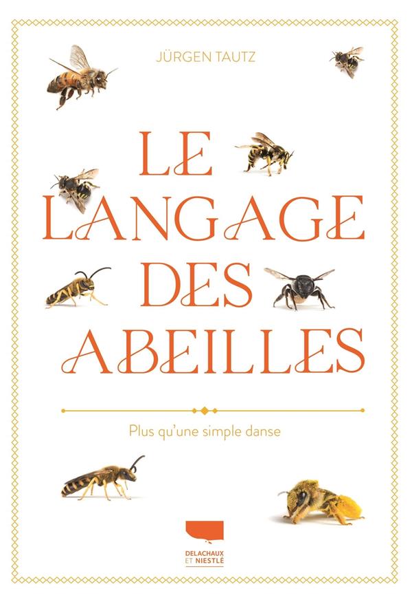 Le langage des abeilles : plus qu'une simple danse - flash vidéo