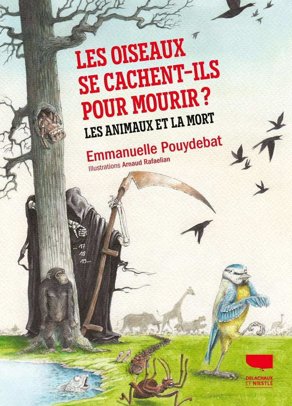 Les oiseaux se cachent-ils pour mourir ? Les animaux et la mort