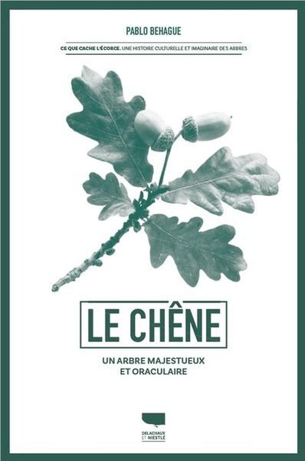Le chêne : Un arbre majestueux et oraculaire