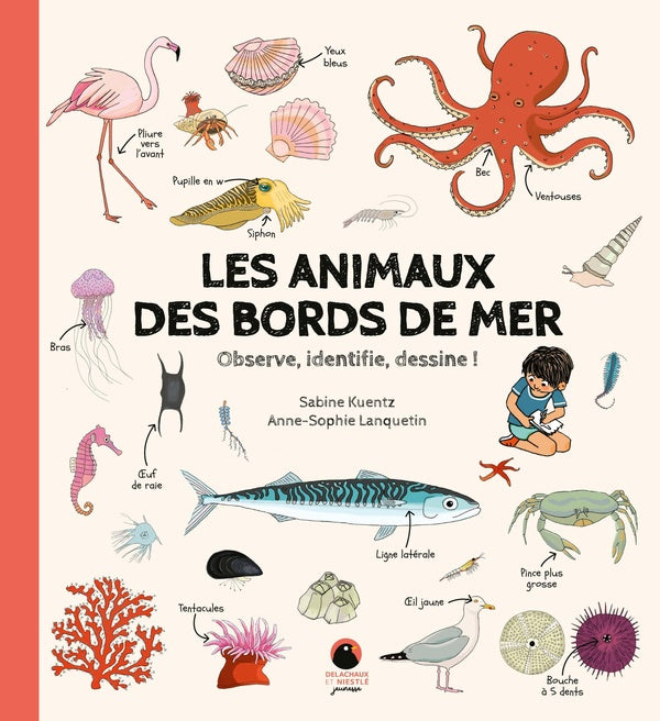 Les animaux des bords de mer : Observe, identifie, dessine !