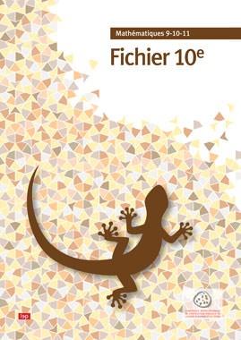 Fichier 10e - flash vidéo