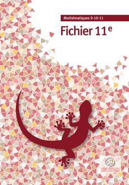 Fichier 11e - flash vidéo