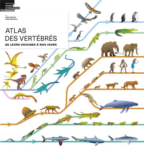 Atlas des vertébrés ; de leurs origines à nos jours - flash vidéo