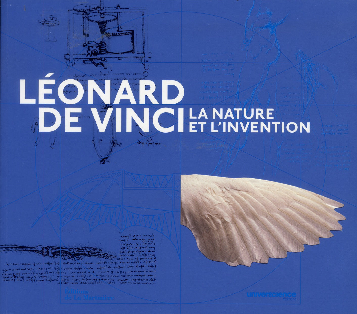 Léonard de Vinci ; la nature et l'invention - flash vidéo