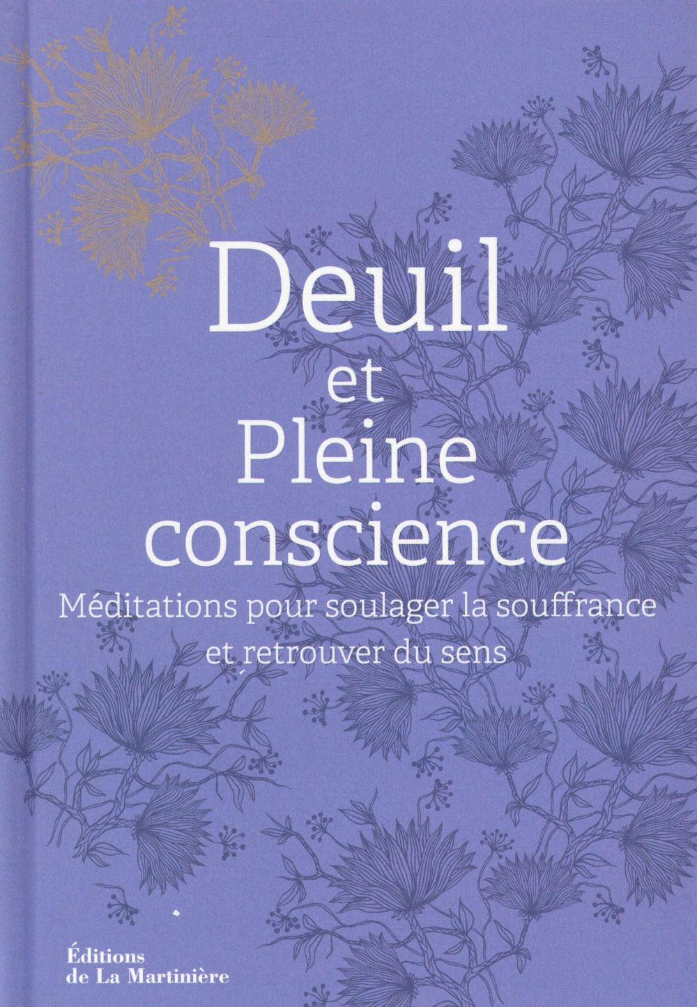 Deuil, méditation en pleine conscience ; pour soulager la souffrance et retrouver du sens - flash vidéo