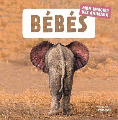 Bébés ; mon imagier des animaux - flash vidéo