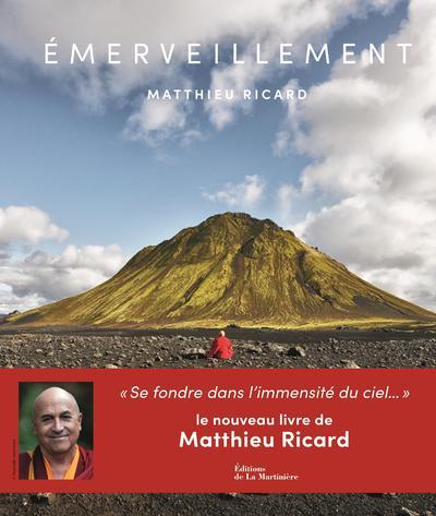 émerveillement