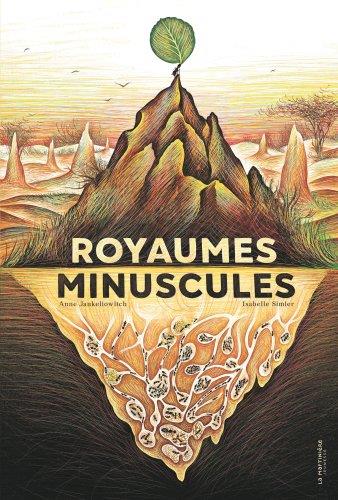 Royaumes minuscules - flash vidéo