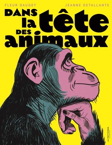Dans la tête des animaux - flash vidéo