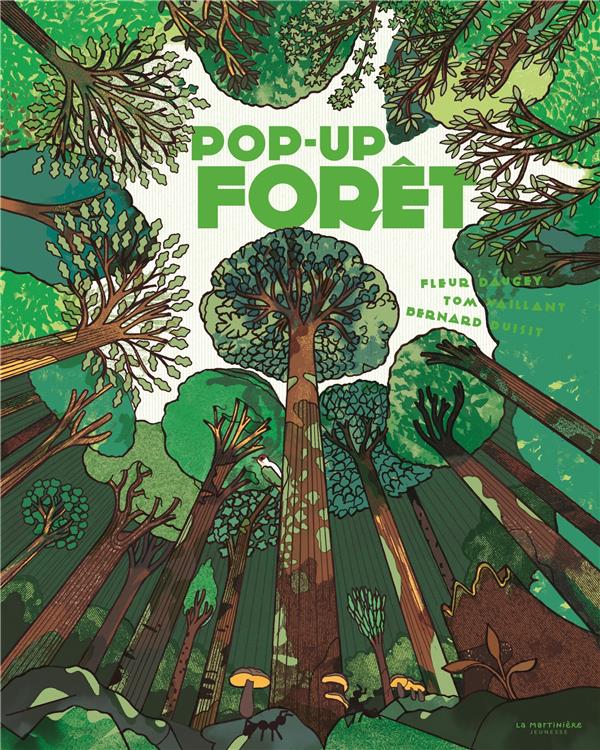 Pop-up Forêt - flash vidéo