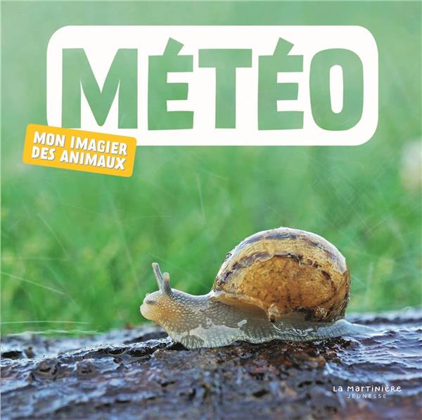 Mon imagier des animaux ; météo
