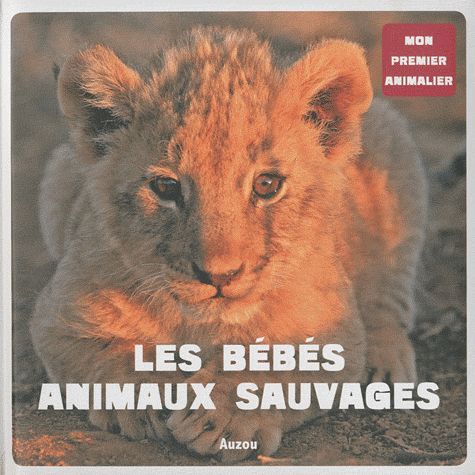 Les bébés animaux sauvages ; mon premier animalier - flash vidéo