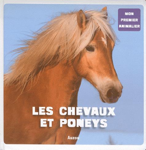 Les chevaux et les poneys - flash vidéo