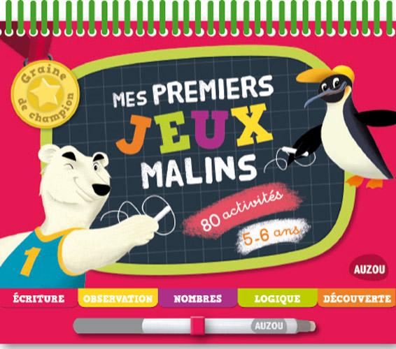 Graine de champion : mes premiers jeux malins 5-6 ans - flash vidéo