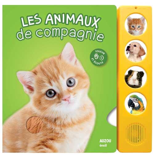 Les animaux de compagnie - flash vidéo