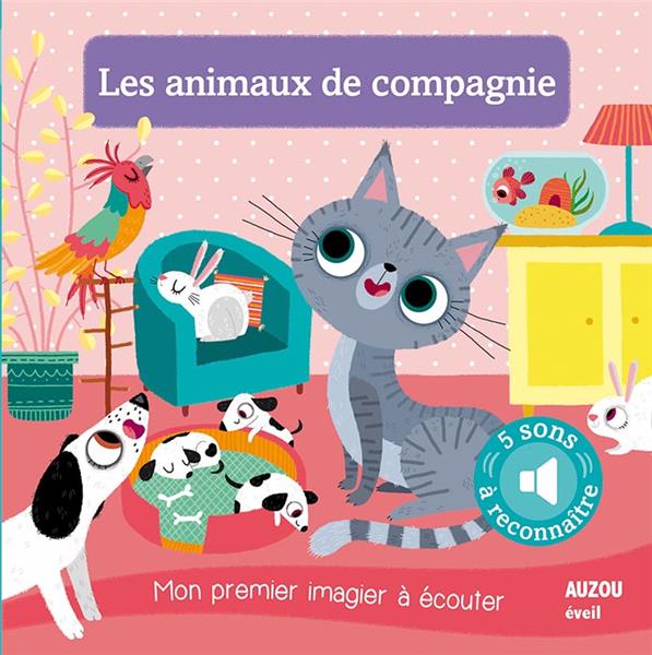 Les animaux de compagnie - flash vidéo