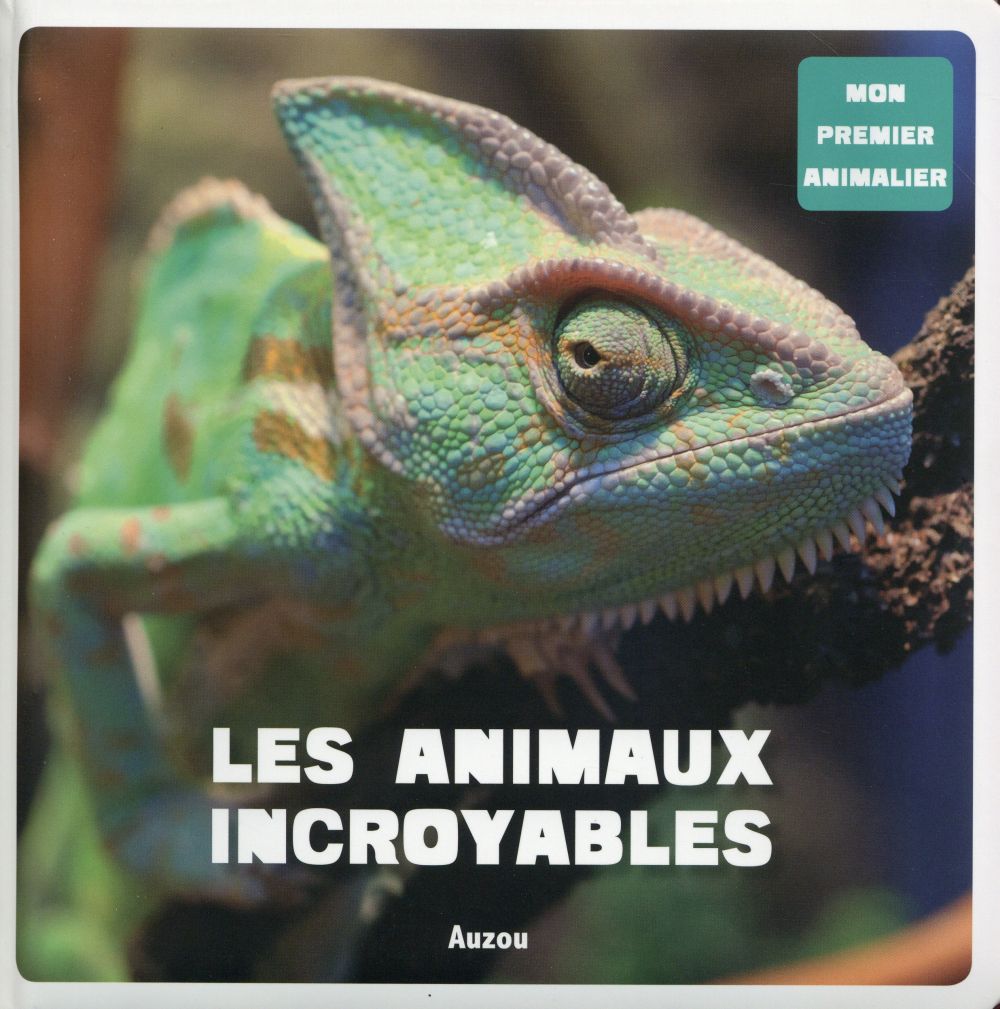 Les animaux incroyables - flash vidéo