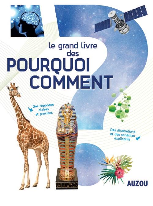 Le grand livre des pourquoi comment - flash vidéo