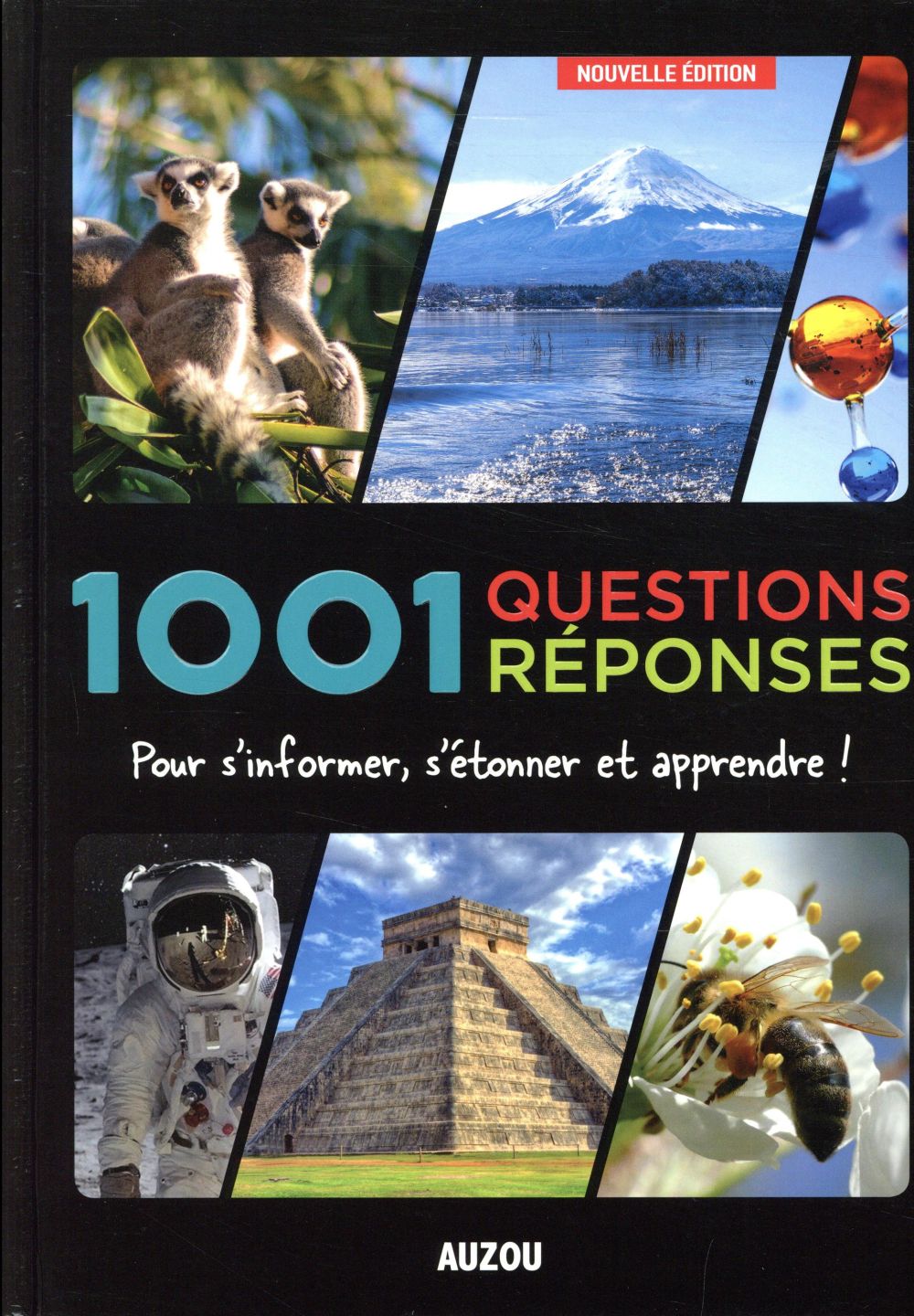 1001 questions réponses ; pour s'informer, s'étonner et apprendre ! - flash vidéo