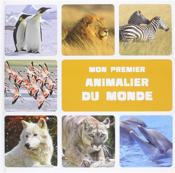 Mon premier animalier du monde - flash vidéo