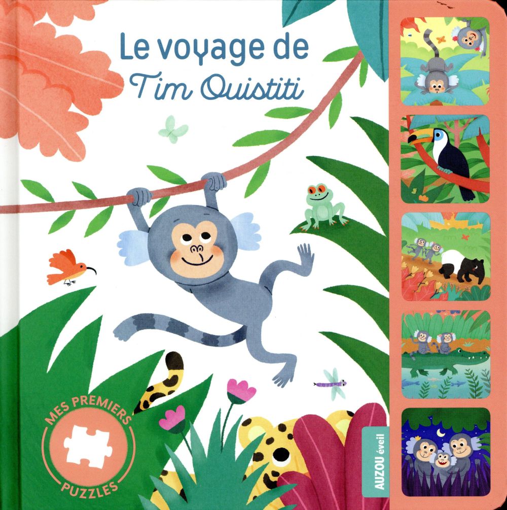 Le voyage de Tim Ouistiti - flash vidéo