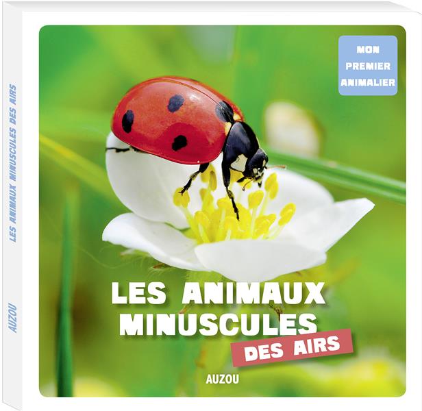 Les animaux minuscules des airs - flash vidéo