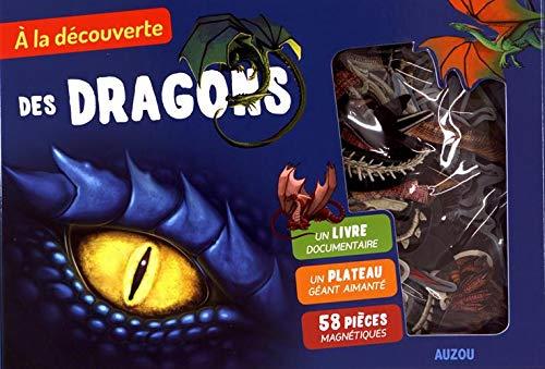 à la découverte des dragons - flash vidéo