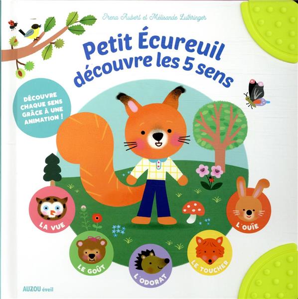 Petit écureuil découvre les 5 sens - flash vidéo