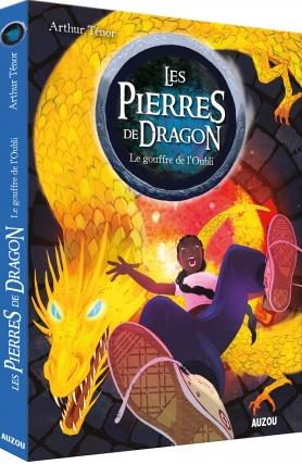 Les pierres de dragon Tome 2 : le gouffre de l'oubli - flash vidéo
