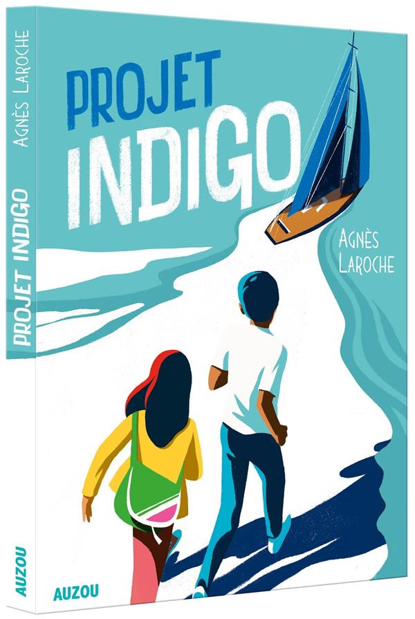 Projet indigo - flash vidéo