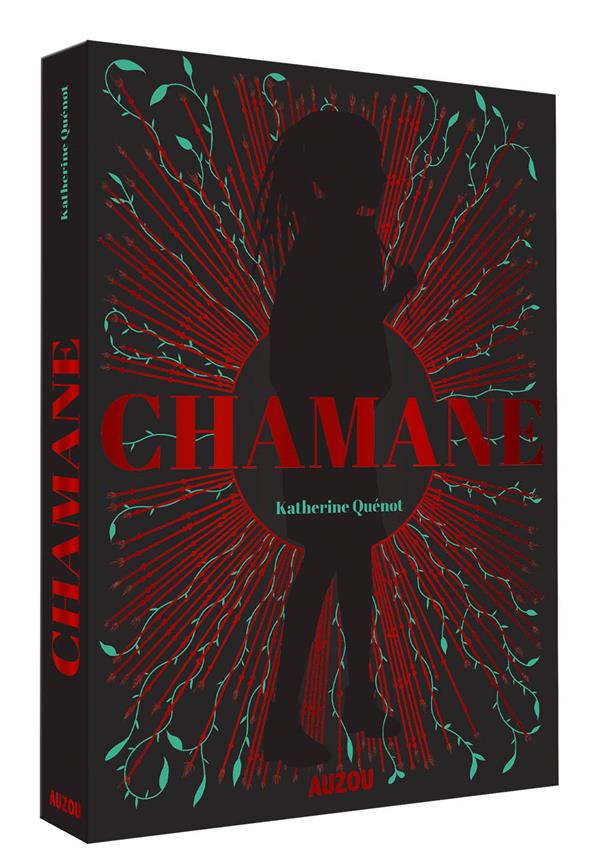 Chamane Tome 1 - flash vidéo