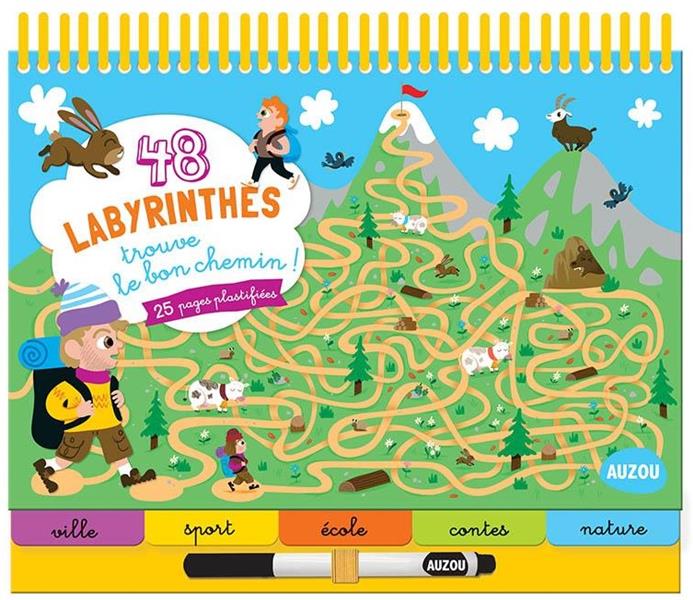 48 labyrinthes : trouve le bon chemin ! - flash vidéo