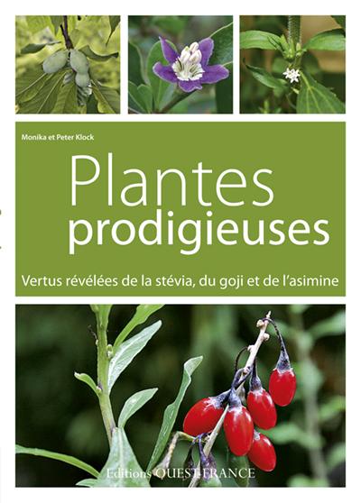 Plantes prodigieuses ; vertus révélées de la stévia, du goji et de l'asimine - flash vidéo