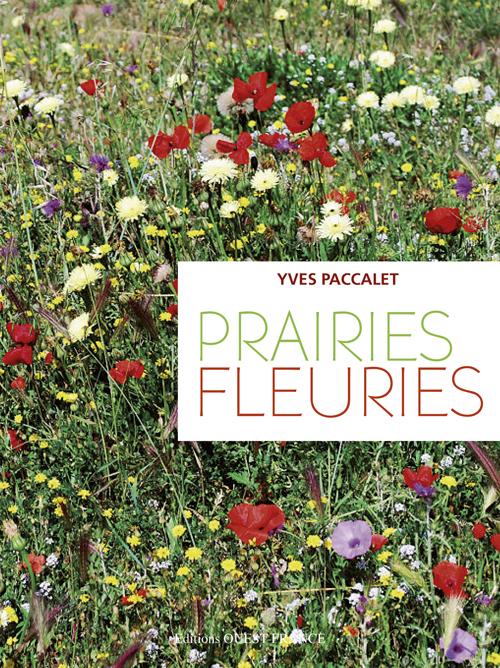 Prairies fleuries - flash vidéo