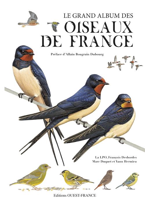 Le grand album des oiseaux de France - flash vidéo