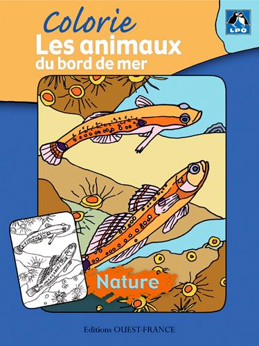 Colorie les animaux du bord de mer