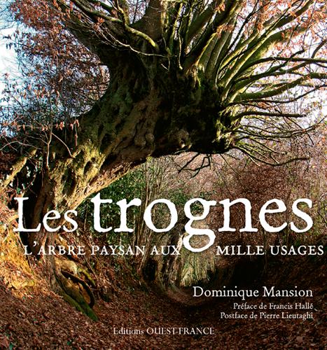 Les trognes, arbre paysan aux mille usages