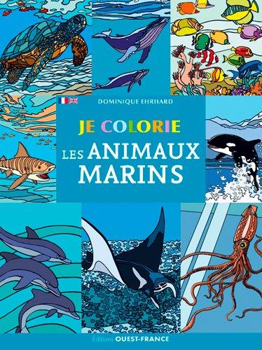 Je colorie les animaux marins - flash vidéo