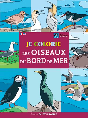 Je colorie : les oiseaux du bord de mer