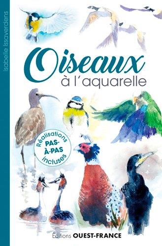 Oiseaux à l'aquarelle - flash vidéo