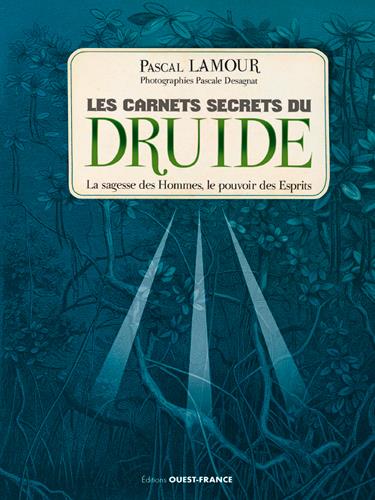 Les carnets secrets du druide - flash vidéo
