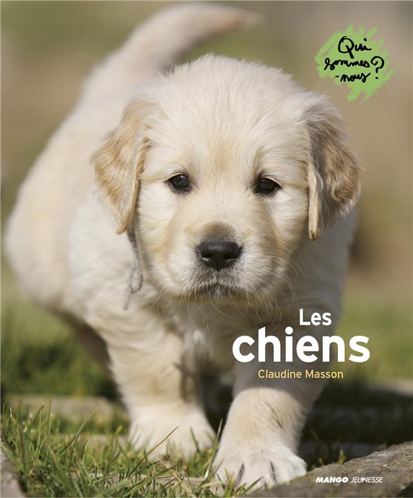 Les chiens - flash vidéo